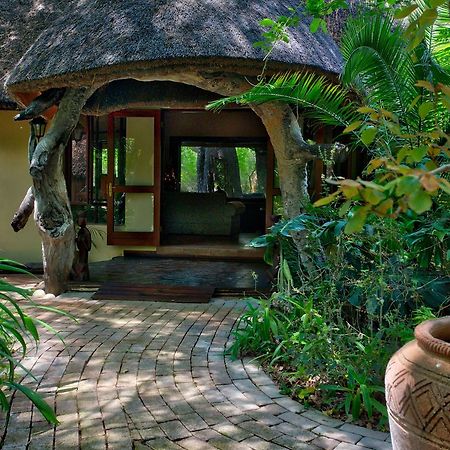 Royal Tree Lodge Маун Екстер'єр фото